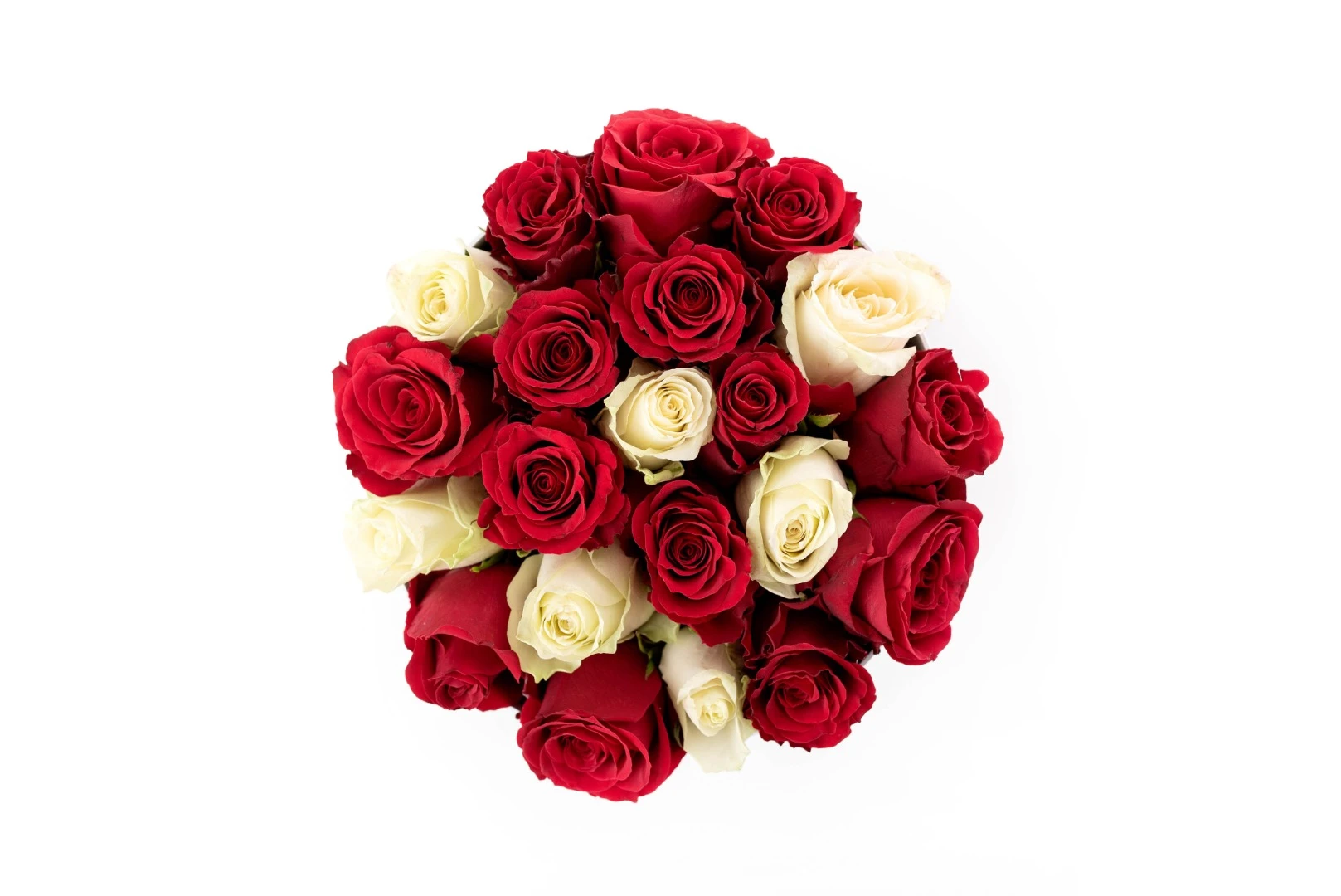 Delicadeza