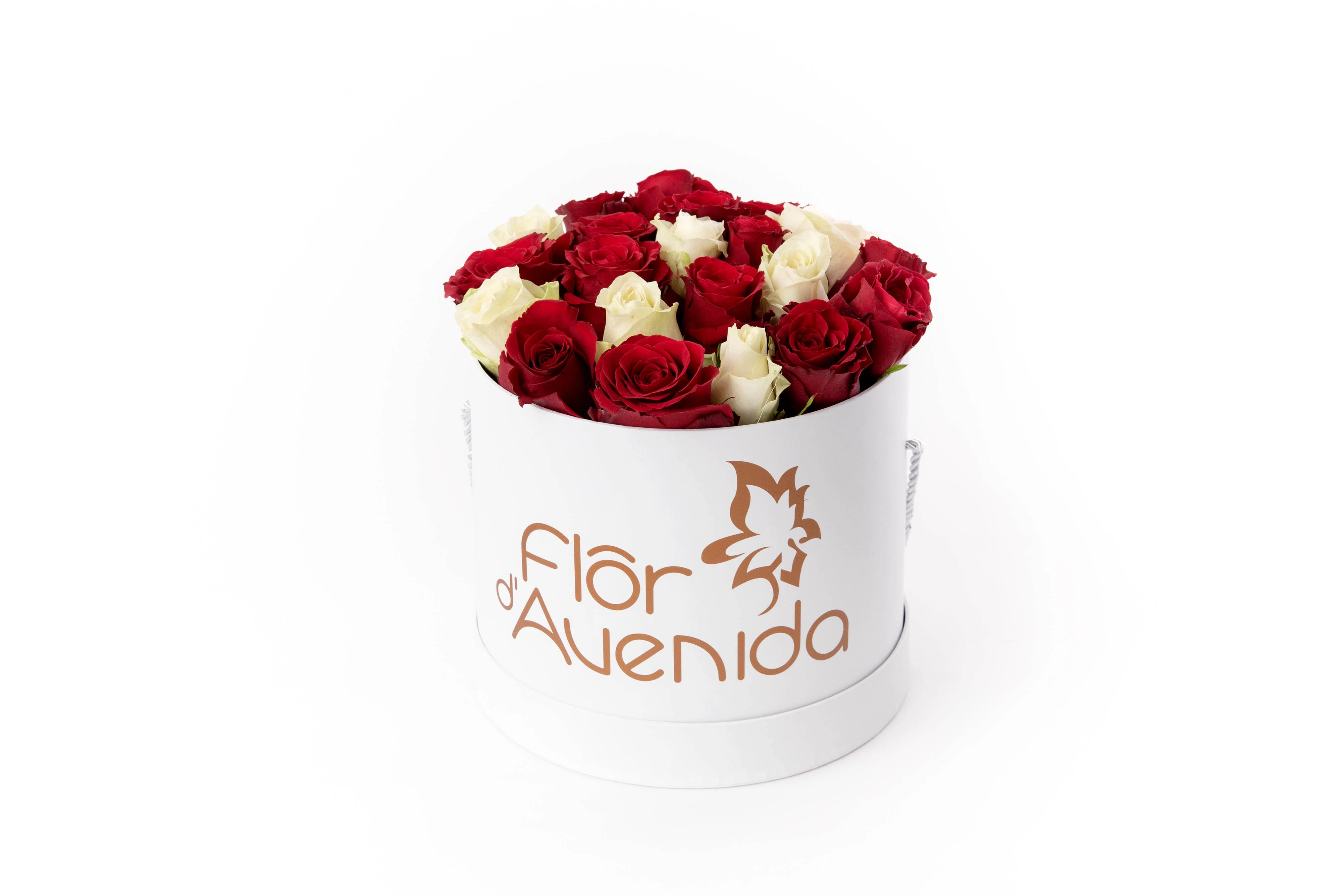 Delicadeza