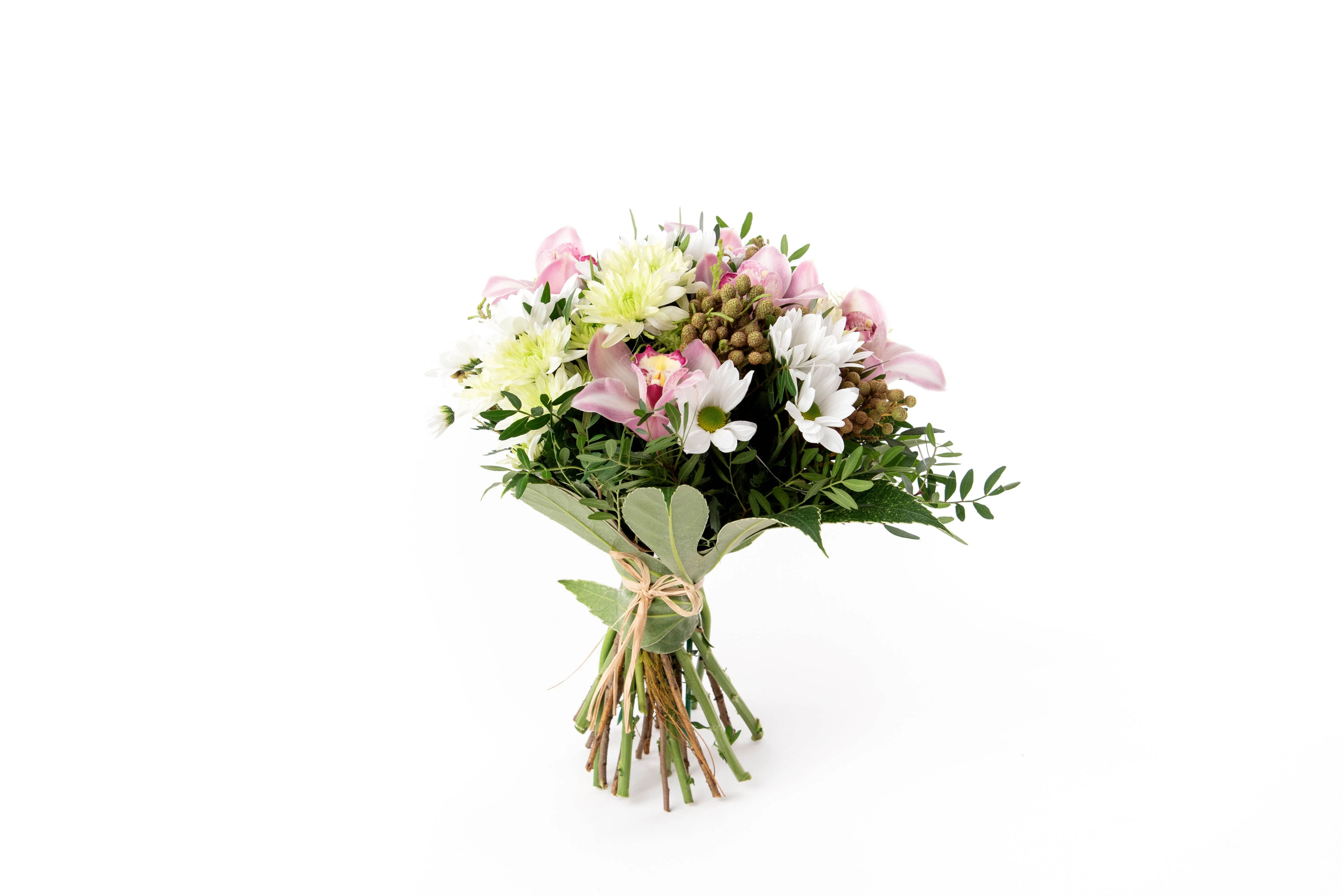 Flora